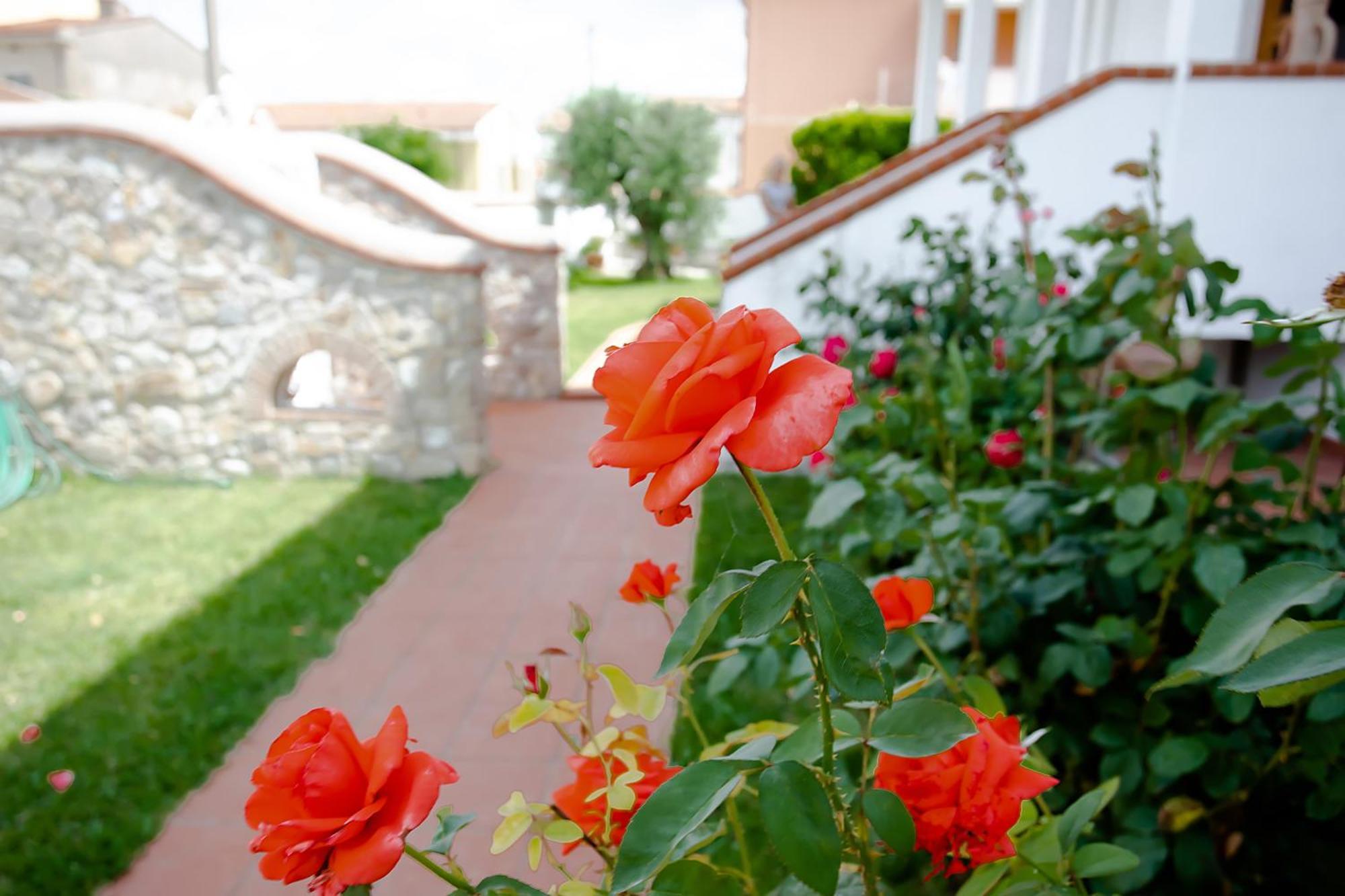 Affitti Brevi Green House Cascina Bagian luar foto